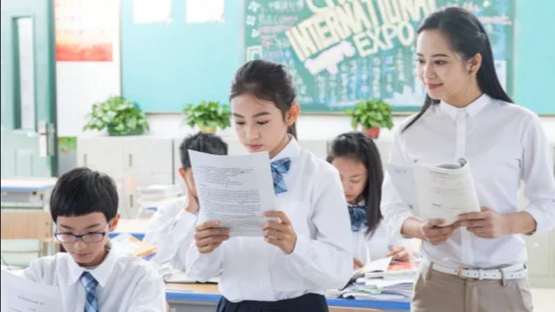 技能培训收费标准明细，揭秘背后的定价逻辑