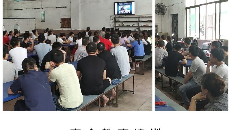 成人高考报名材料模板